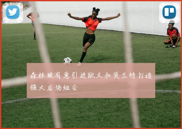 森林狼有意引进欧文和莫兰特打造强大后场组合